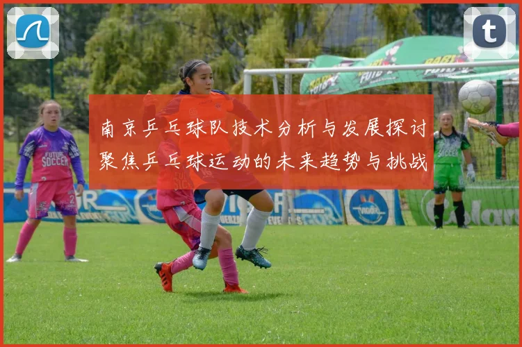 南京乒乓球队技术分析与发展探讨聚焦乒乓球运动的未来趋势与挑战