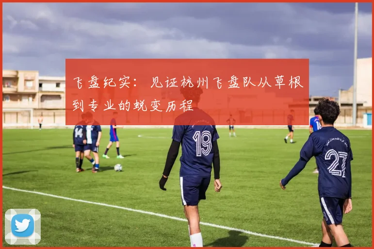 飞盘纪实：见证杭州飞盘队从草根到专业的蜕变历程
